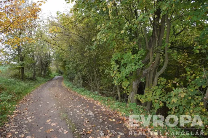 Prodej chalupy, Samopše - Mrchojedy, 71 m2