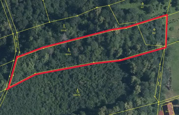 Prodej lesa, Baška, 4109 m2