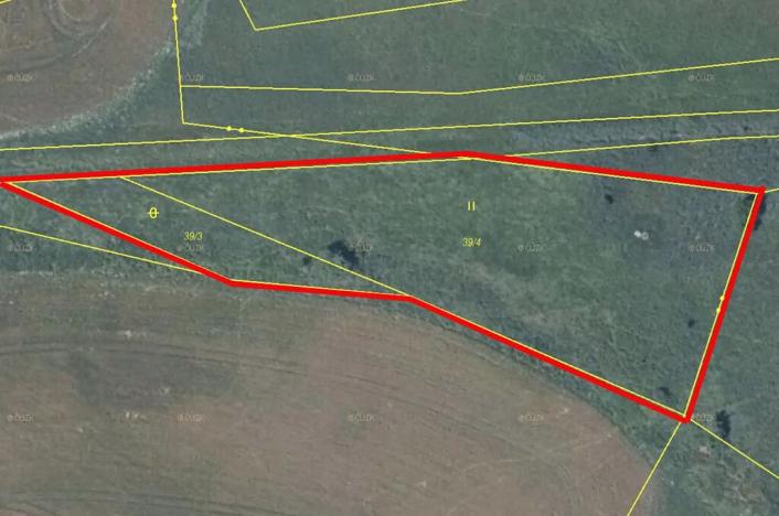 Prodej louky, Česká Lípa, 3703 m2