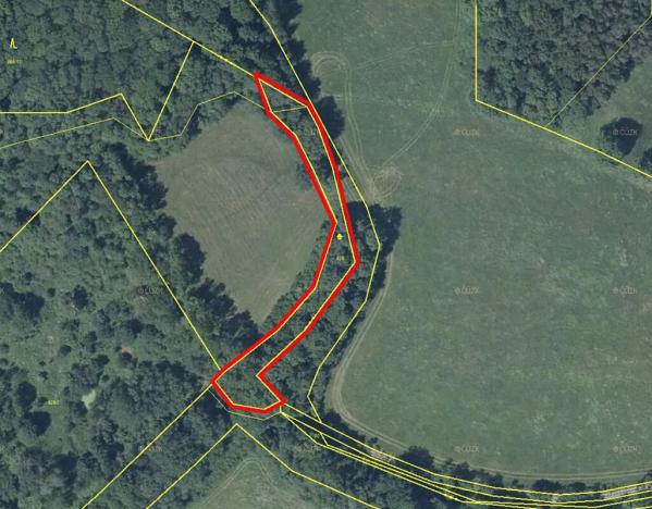 Prodej louky, Kozly, 1518 m2