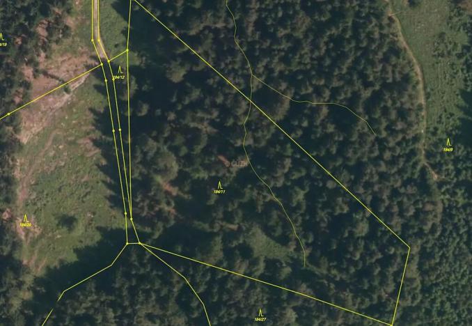 Prodej lesa, Lhota u Vsetína, 16652 m2