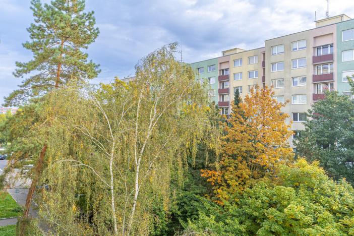 Prodej bytu 2+kk, Mladá Boleslav, U stadionu, 61 m2