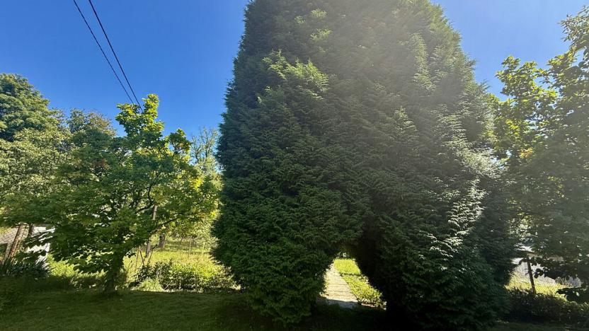 Prodej chaty, Orlová - Město, Dr. M. Tyrše, 28 m2