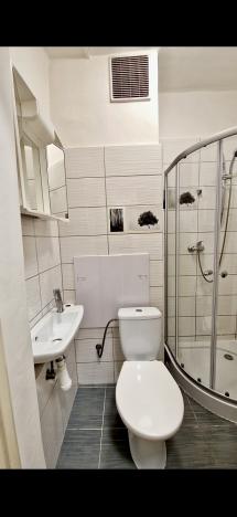 Pronájem bytu 1+kk, Havířov - Podlesí, Kosmonautů, 25 m2