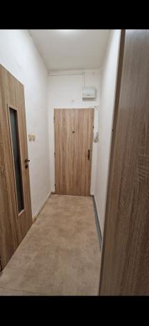 Pronájem bytu 1+kk, Havířov - Podlesí, Kosmonautů, 25 m2