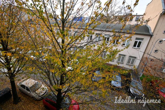 Pronájem bytu 2+1, Brno, Kolískova, 68 m2