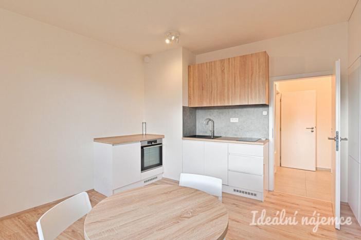 Pronájem bytu 1+kk, Brno, Křenová, 28 m2