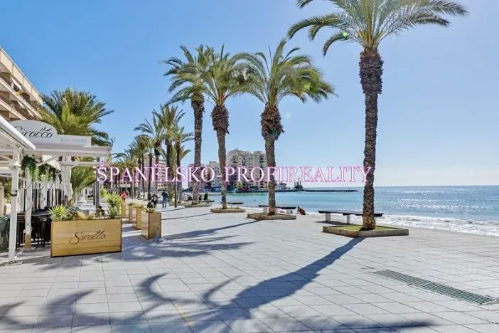 Prodej bytu 1+kk, Torrevieja, Španělsko, Calle Los gases, 40 m2