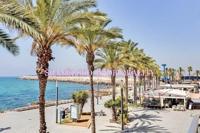 Prodej bytu 1+kk, Torrevieja, Španělsko, Calle Los gases, 40 m2