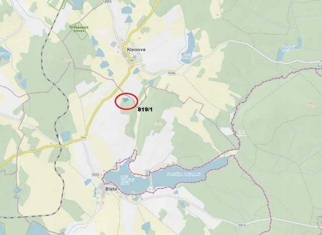 Prodej lesa, Nová Bystřice, 2801 m2