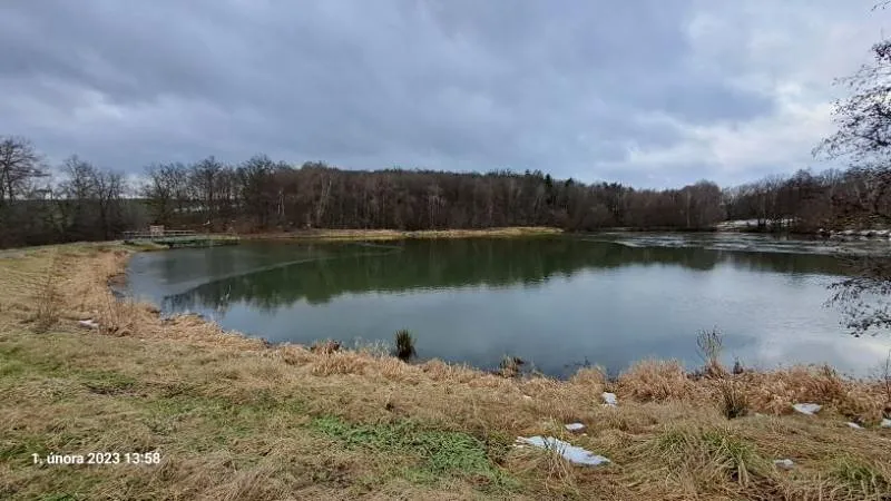 Prodej rybníku, Ostrava, 13195 m2