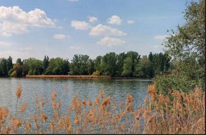 Prodej pozemku, Vlkava, 5955 m2