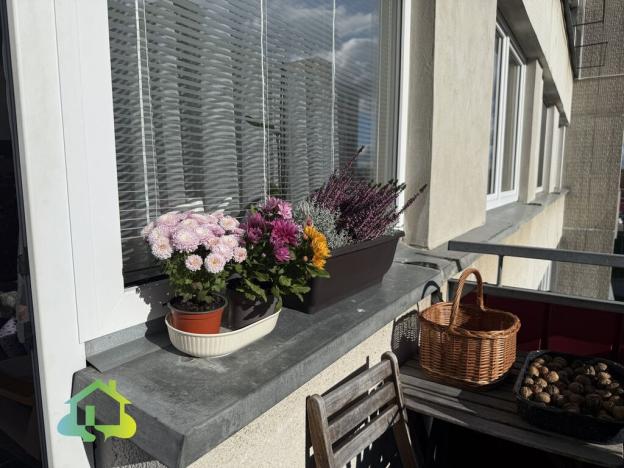 Prodej bytu 2+kk, Soběslav, Sídliště Svákov, 43 m2