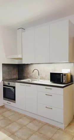 Pronájem bytu 1+kk, Zlín, Na Honech I, 27 m2