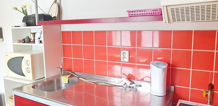 Pronájem bytu 1+1, Brno - Veveří, Úvoz, 38 m2