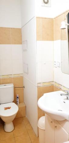 Pronájem bytu 1+1, Brno - Veveří, Úvoz, 38 m2