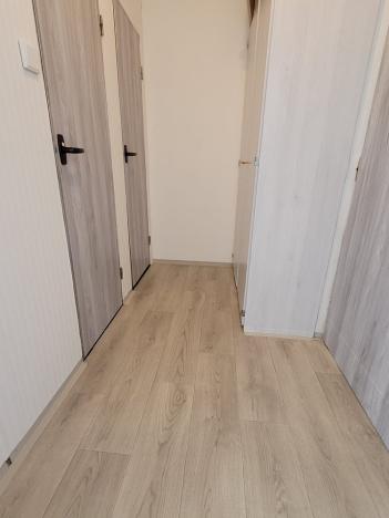 Pronájem bytu 1+1, Bílina - Pražské Předměstí, Fügnerova, 33 m2