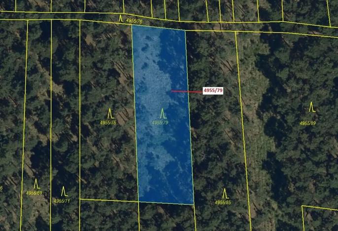 Dražba lesa, Vracov, 1662 m2