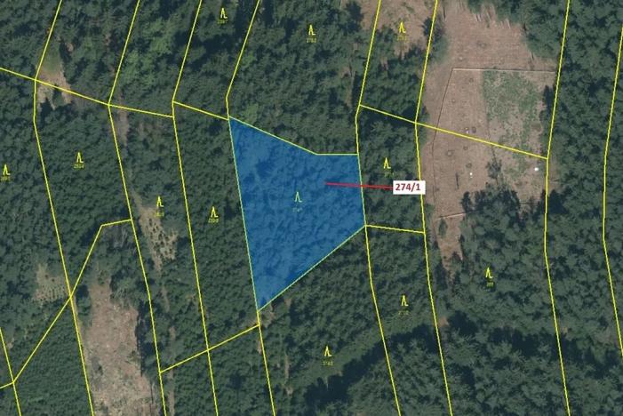 Dražba lesa, Psárov, 2949 m2