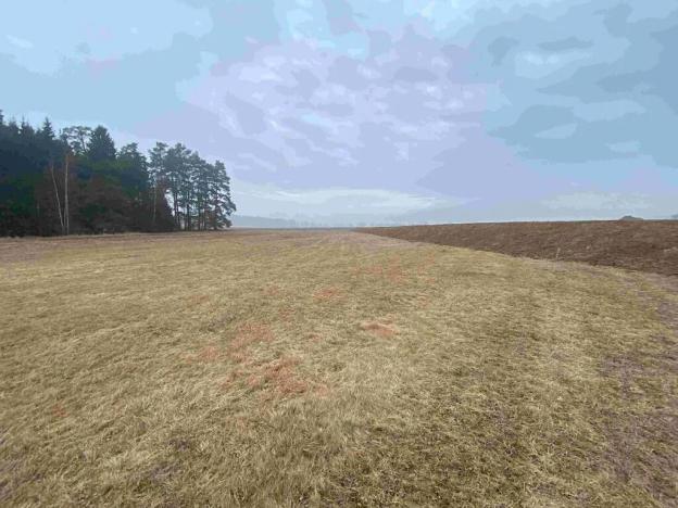 Dražba louky, Hospříz, 7435 m2