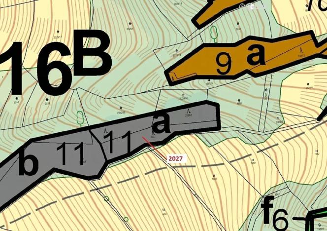 Dražba lesa, Hovězí, 1252 m2