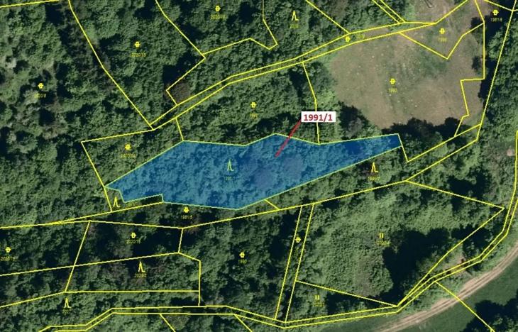 Dražba lesa, Hovězí, 2438 m2