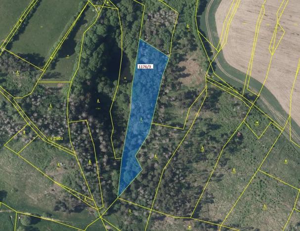 Dražba lesa, Brtnice, 5146 m2