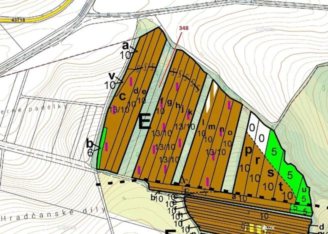 Dražba lesa, Hradčany-Kobeřice, 6360 m2