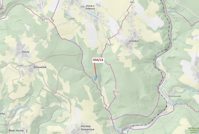 Dražba lesa, Jílové u Držkova, 6213 m2