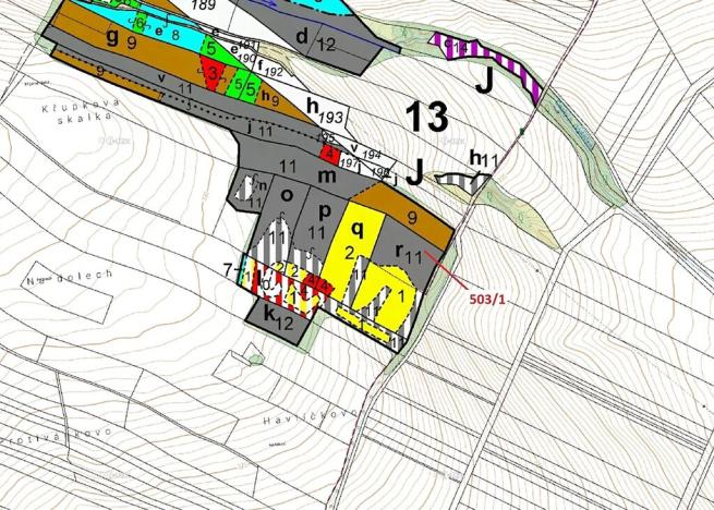 Dražba lesa, Přemyslovice, 7049 m2