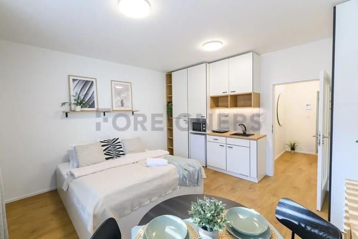 Pronájem bytu 1+kk, Brno, Cejl, 30 m2