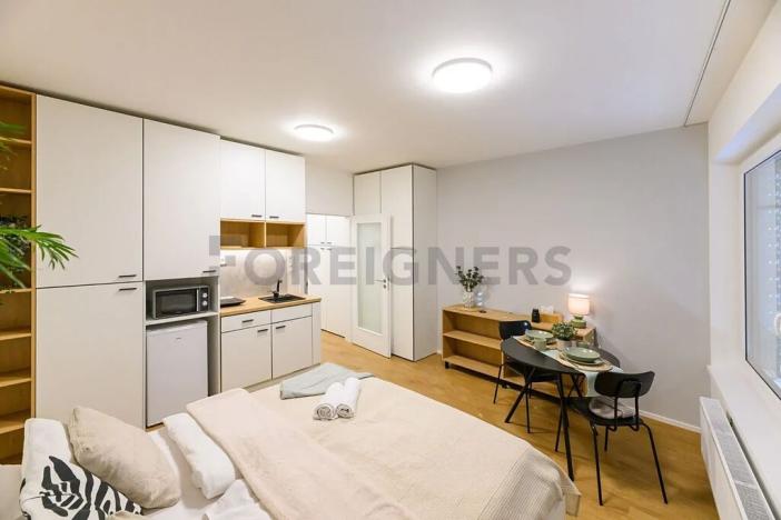 Pronájem bytu 1+kk, Brno, Cejl, 30 m2