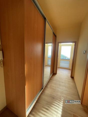 Pronájem bytu 1+1, Břeclav, Riegrova, 45 m2