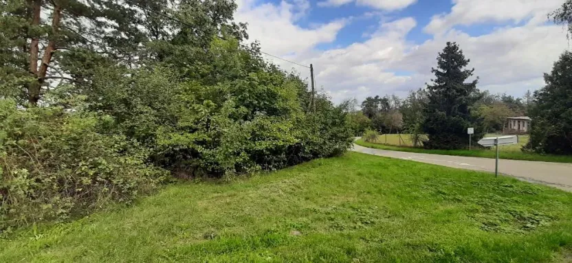 Prodej lesa, Mostkovice, 576 m2