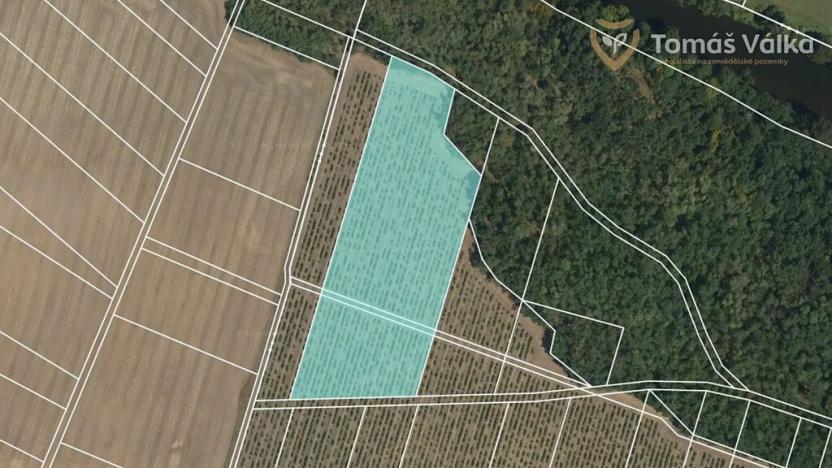 Prodej sadu/vinice, Tasovice, 13099 m2