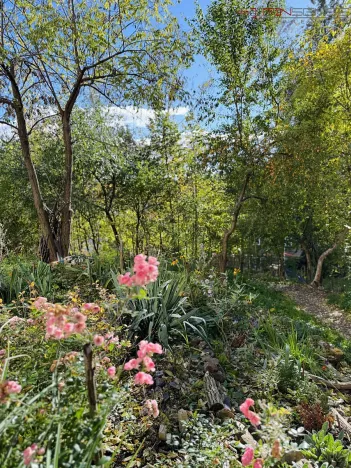 Prodej bytu 3+kk, Praha - Libeň, Budilova, 70 m2