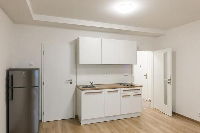 Pronájem bytu 1+kk, Praha - Bubeneč, U zeměpisného ústavu, 26 m2