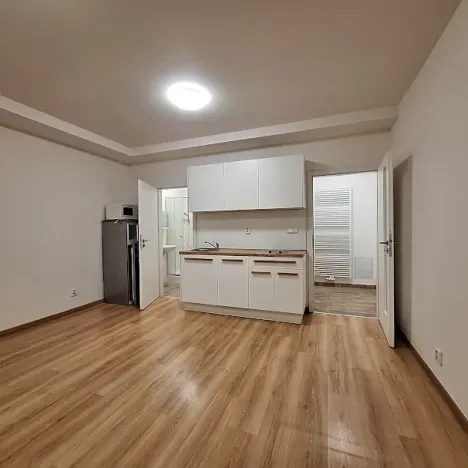 Pronájem bytu 1+kk, Praha - Bubeneč, U zeměpisného ústavu, 26 m2