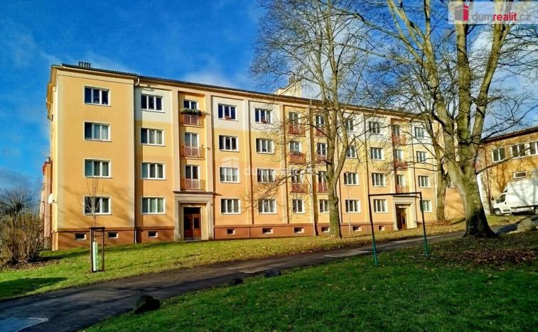 Pronájem bytu 2+1, Ostrov, S. K. Neumanna, 65 m2