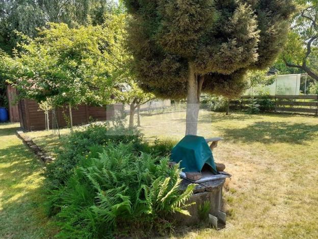 Prodej chaty, Borohrádek, 25 m2