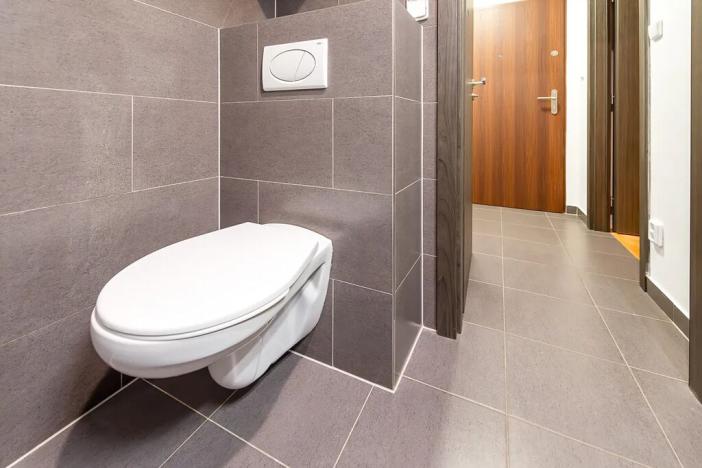 Pronájem bytu 1+kk, Praha - Michle, Michelská, 25 m2