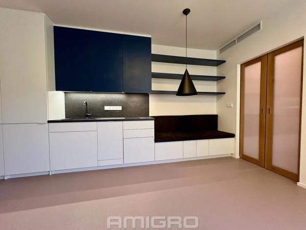 Pronájem bytu 1+kk, Brno, Peroutková, 25 m2