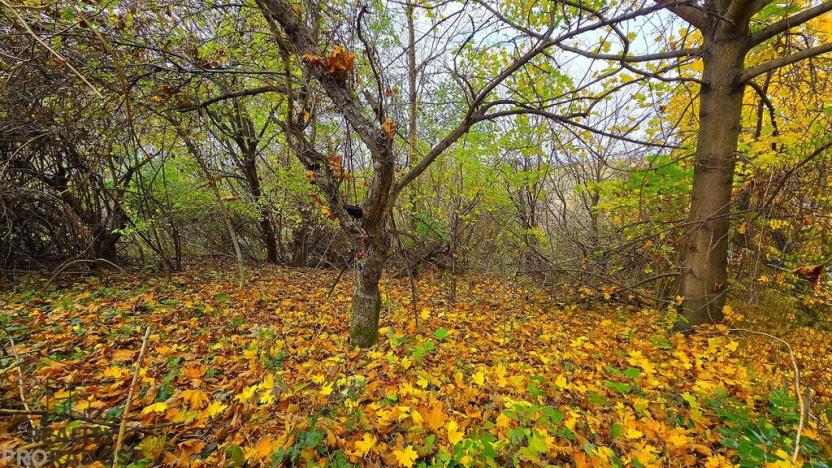 Prodej pozemku pro bydlení, Uhřice, 801 m2