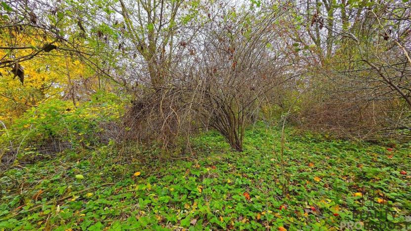 Prodej pozemku pro bydlení, Uhřice, 801 m2