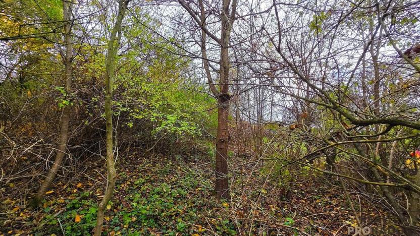 Prodej pozemku pro bydlení, Uhřice, 801 m2