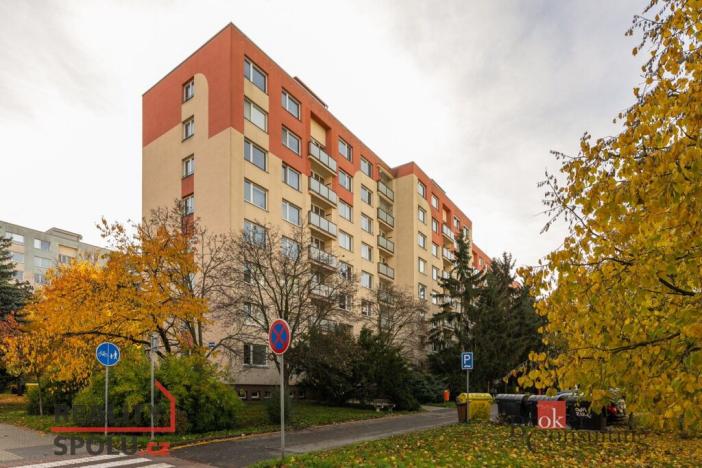 Prodej bytu 1+1, Mladá Boleslav - Mladá Boleslav II, 17. listopadu, 36 m2