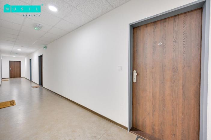 Pronájem bytu 2+kk, Olomouc, Eduarda Hamburgera, 62 m2