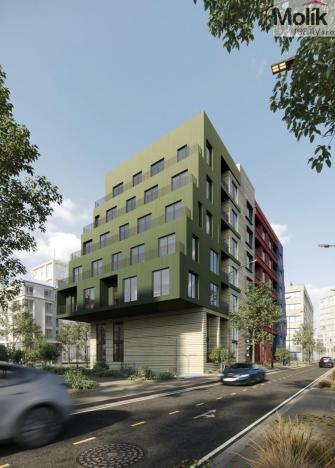 Prodej bytu 2+kk, Golem, 59 m2