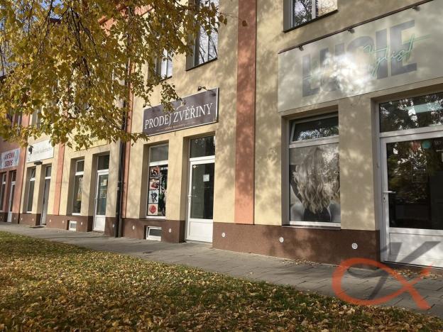 Pronájem obchodního prostoru, Prostějov, Svatoplukova, 48 m2