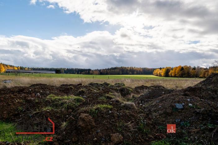 Prodej pozemku pro bydlení, Střížovice, 1041 m2